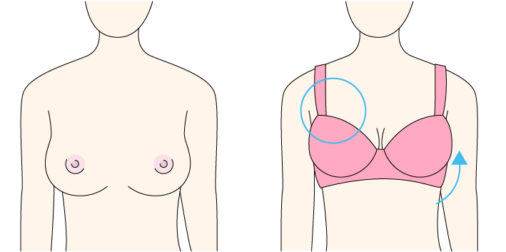 胸の持ち上がりについて